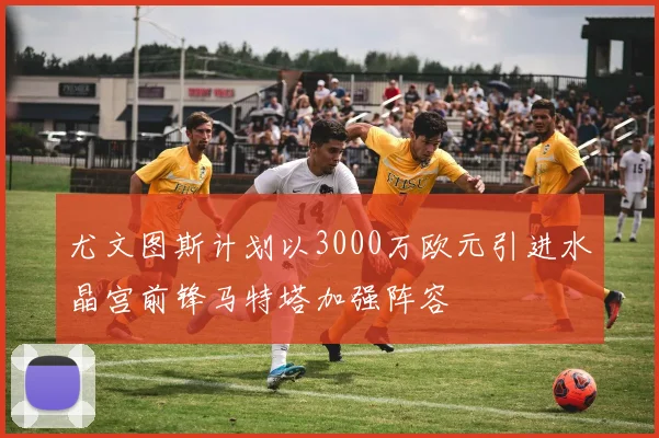 尤文图斯计划以3000万欧元引进水晶宫前锋马特塔加强阵容